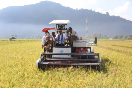 Mentan SYL pimpin panen padi menggunakan combine harvester di hamparan sawah dengan luas 25 hektar -