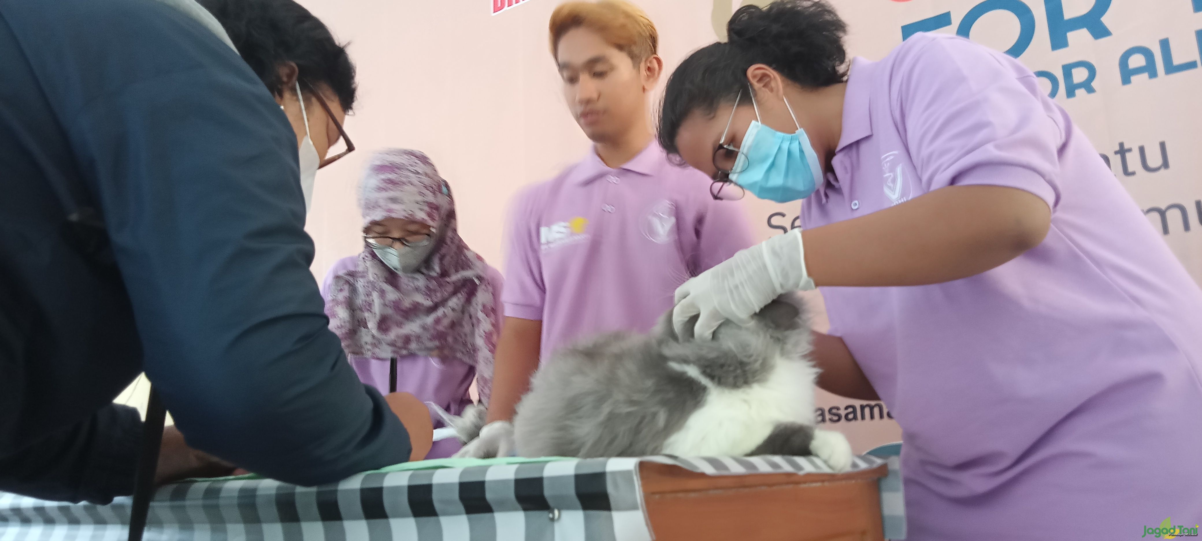 Kegiatan vaksinasi hewan peliharaan di Kantor DKPP Klaten
