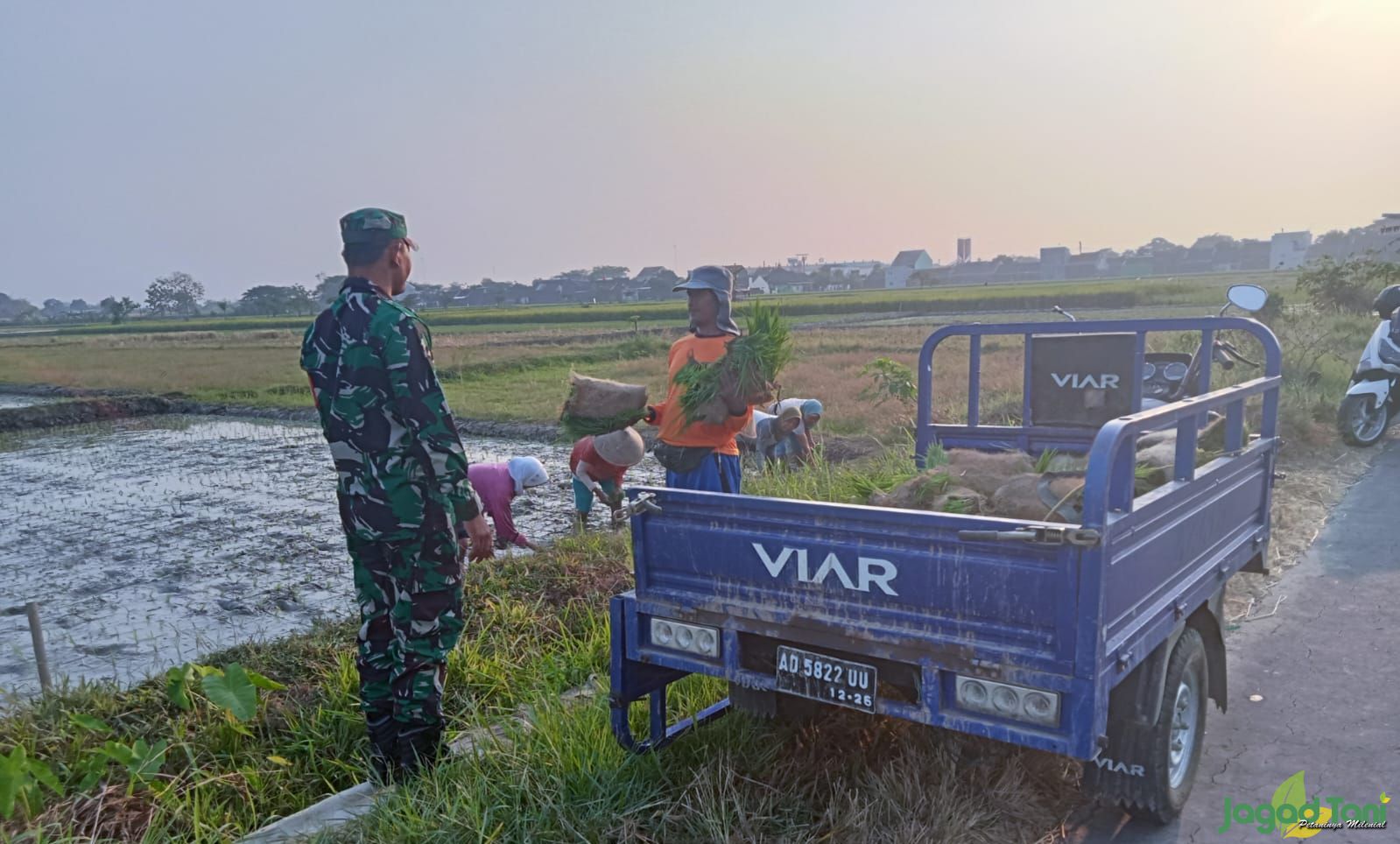 Anggota TNI melakukan pendampingan percepatan masa tanam padi