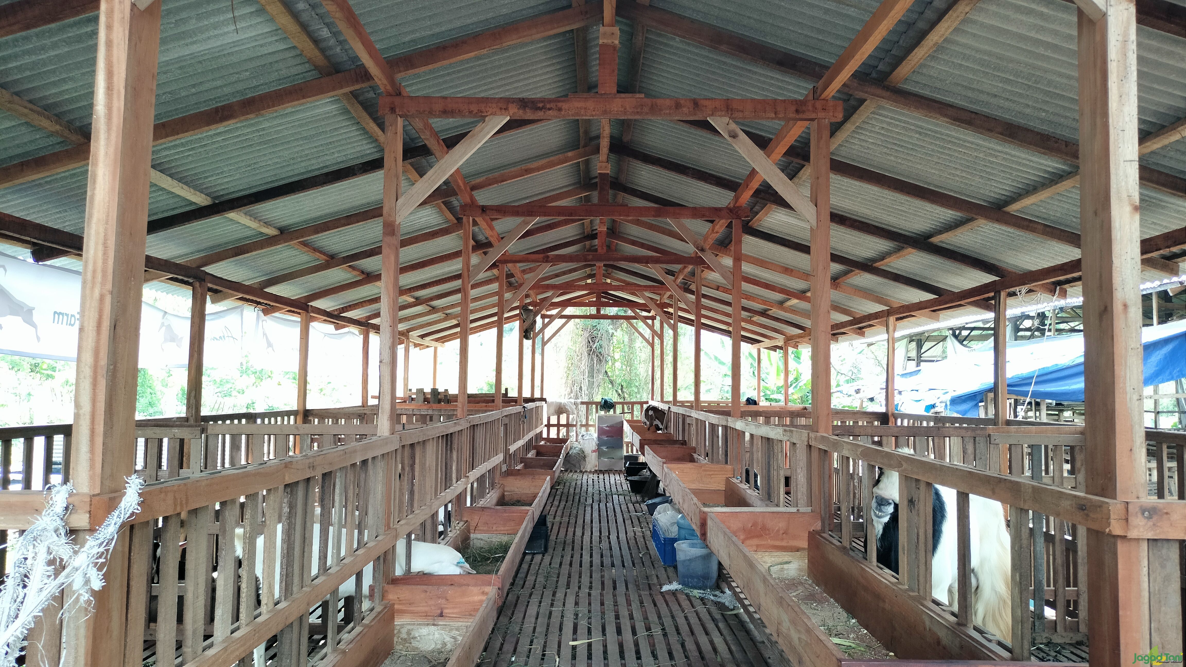 Arkandra farm peternakan kambing di Agro Wisata Halim Perdanakusuma 