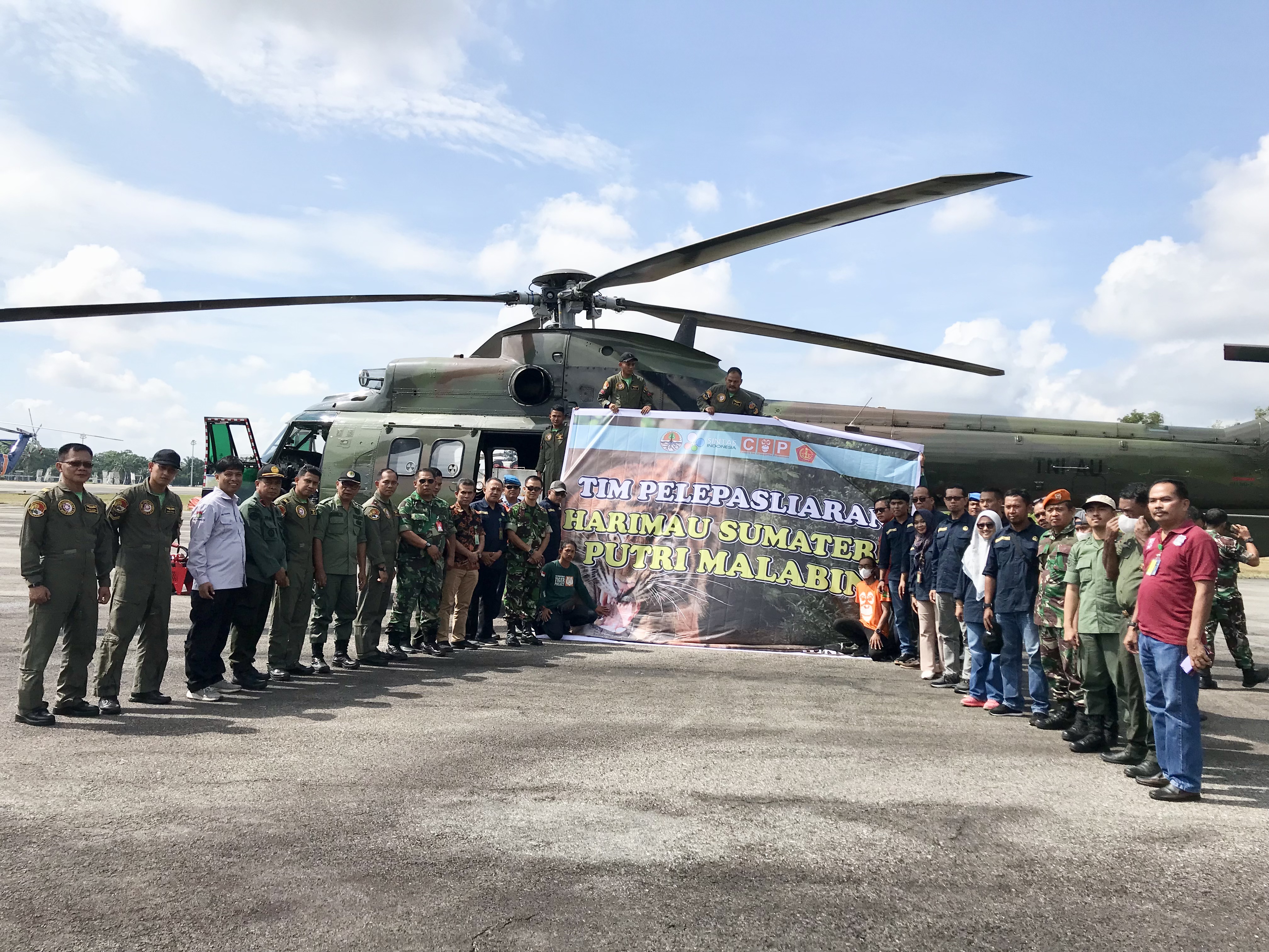  TNI AU Riau dan TNI AU Sumatera Barat Bantu pelepasan Harimau Sumatera 