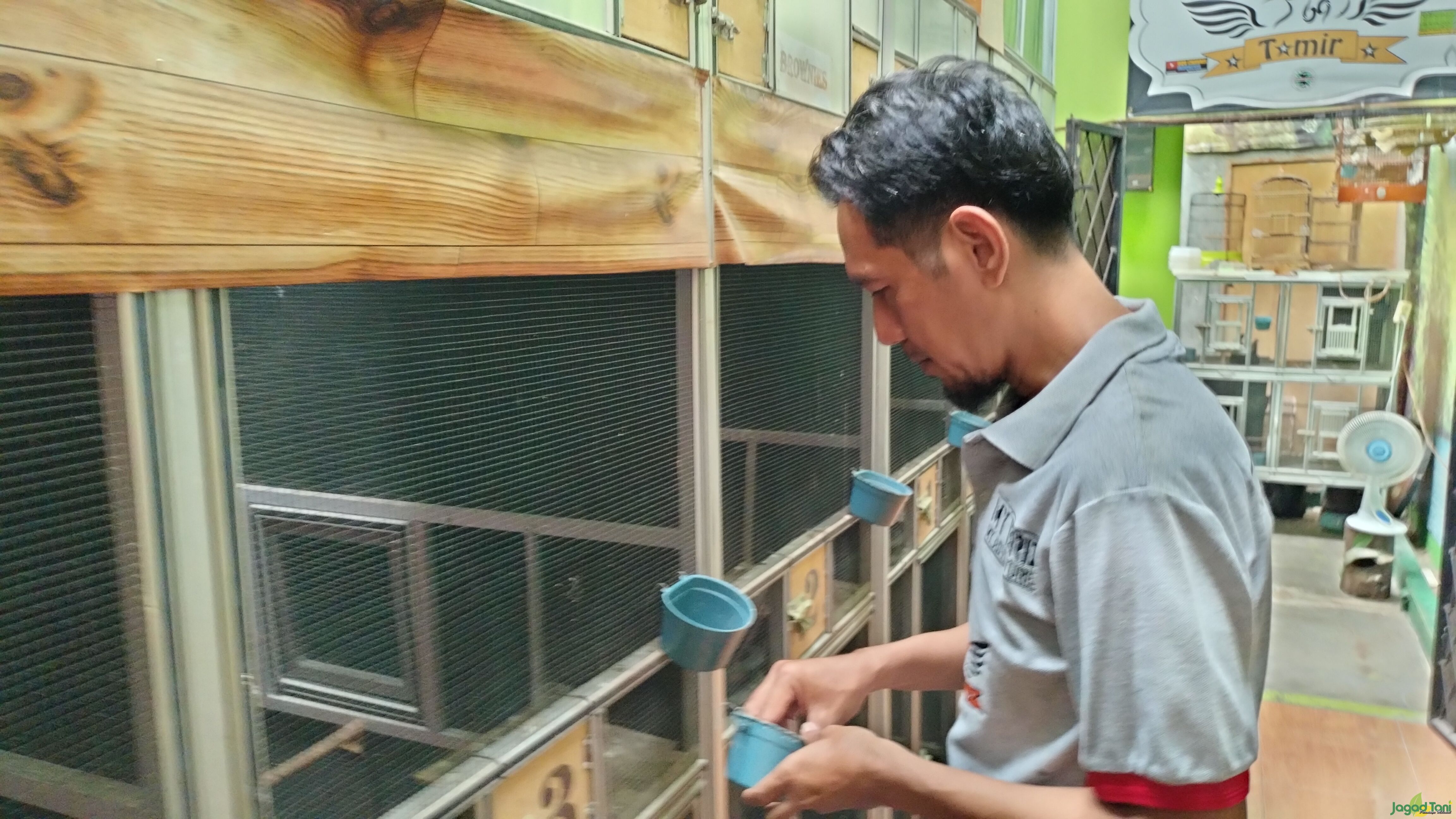 Racmat Fajri pemilik peternakan Tamir Bird Farm 