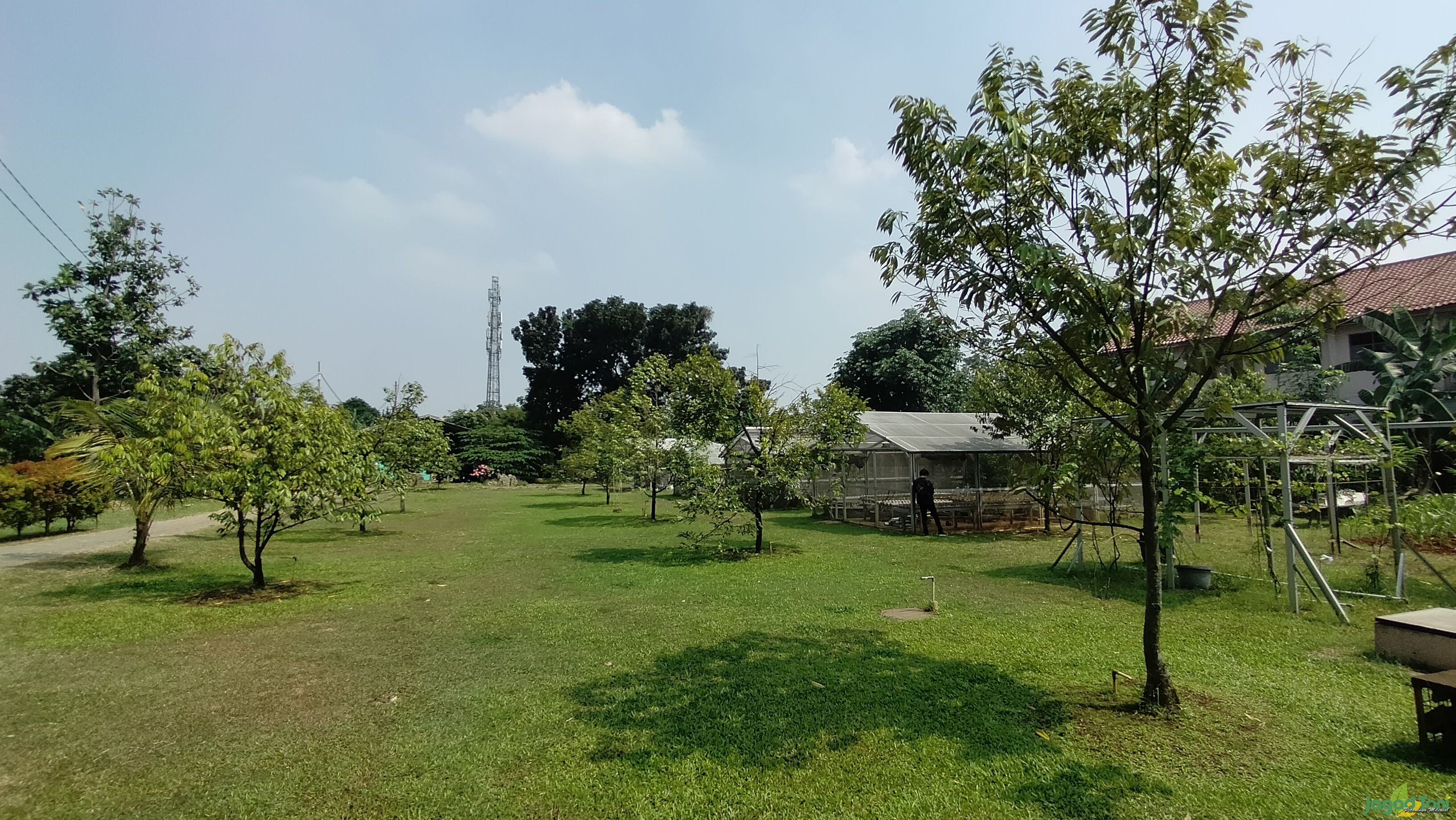 Lahan pertanian dan Green House milik poktan Mekar Permai 