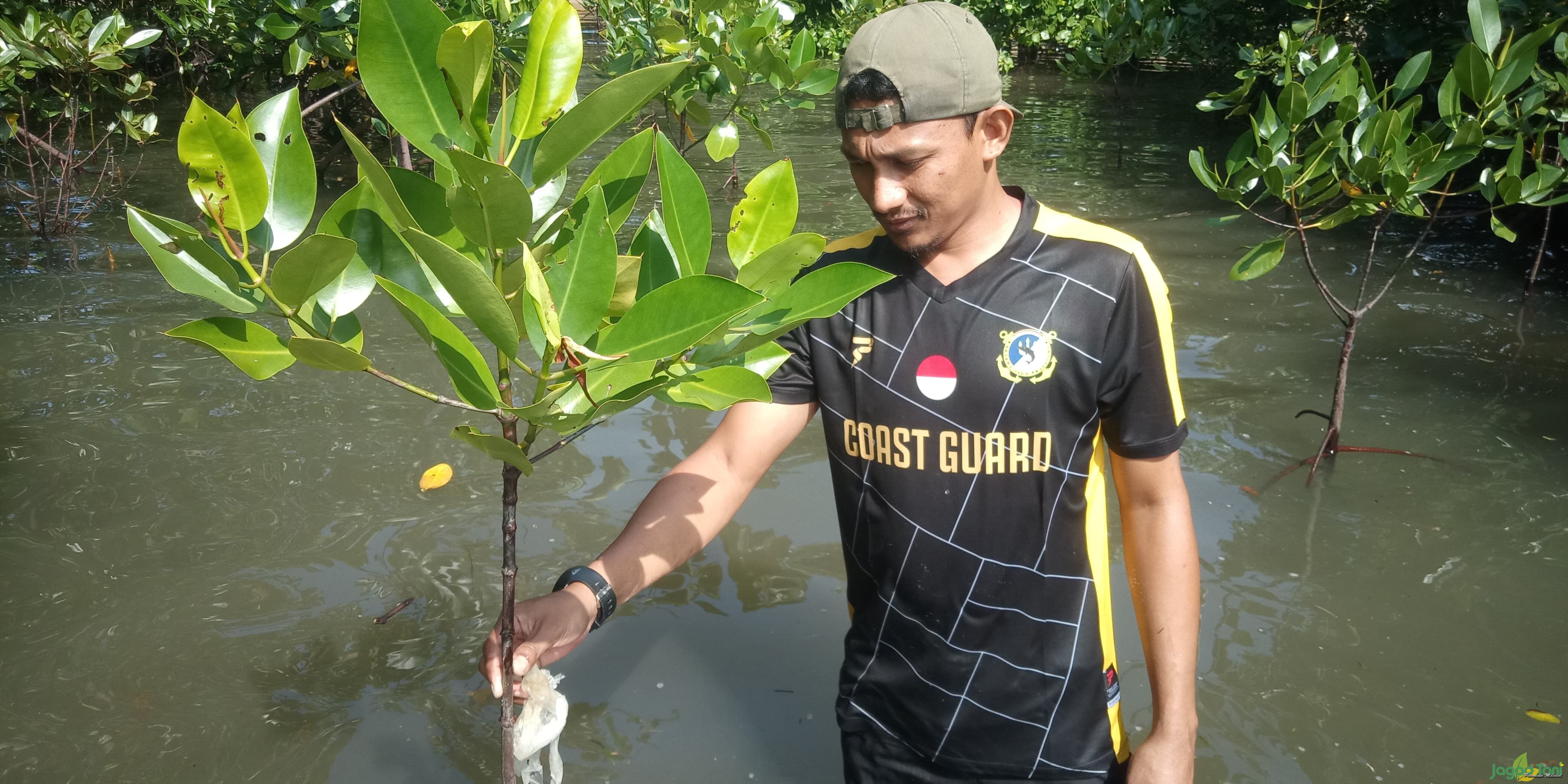  El Capitan Indonesia Konsisten Jaga Kelestarian Mangrove