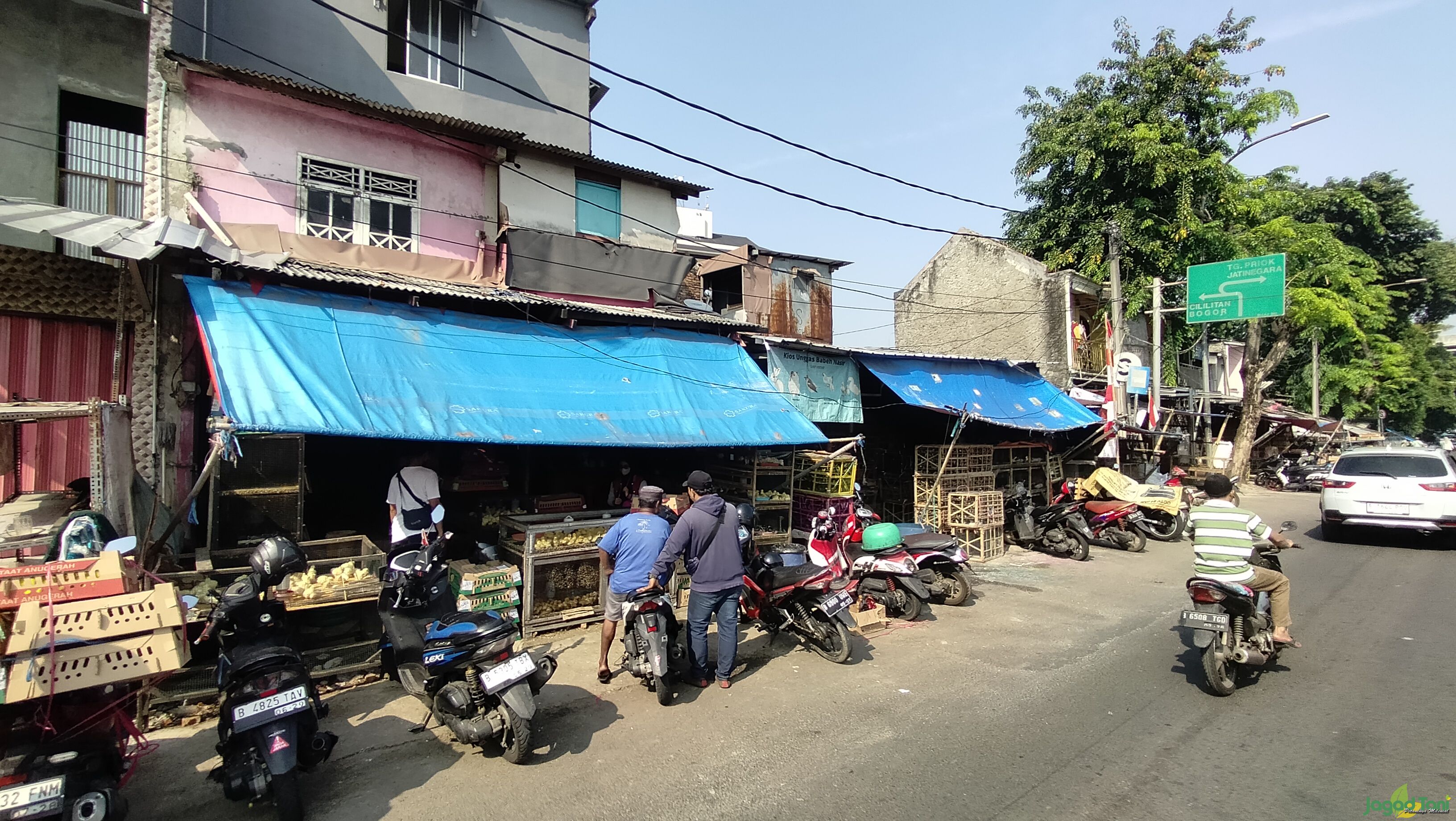 Pasar Gembrong sebagai pusat penjualan hewan unggas di Jakarta