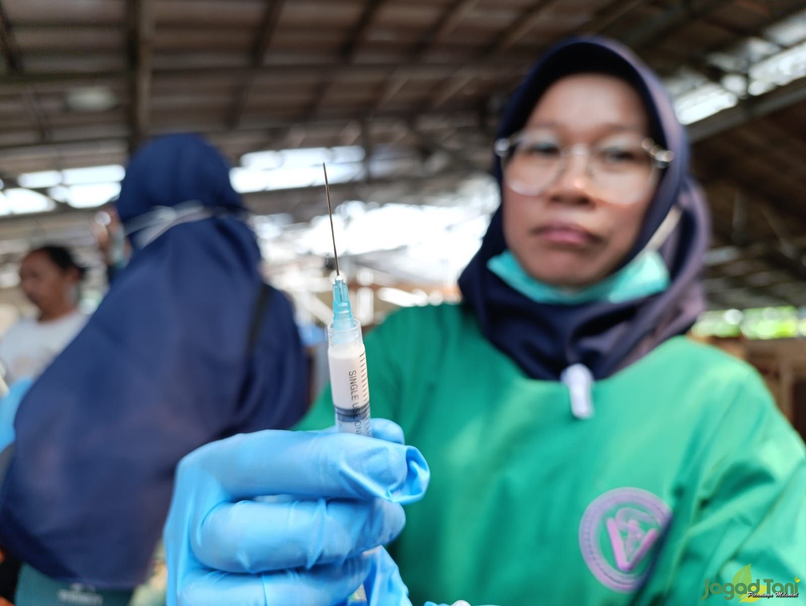 Pemberian vaksin PMK oleh Drh Retnowati dari Dinas Perikanan dan Peternakan kabupaten Bogor 