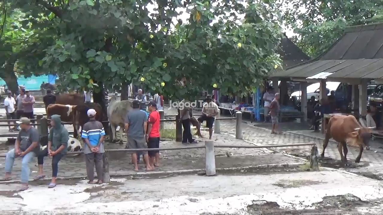 Kondisi pasar hewan Prambanan, Klaten, Jawa Tengah tampak lengang