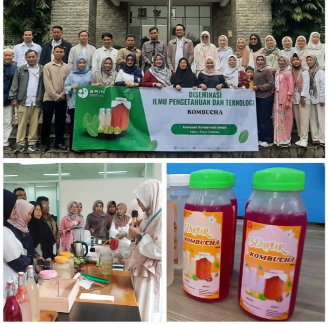 Peneliti BRIN ungkap nilai ekonomis buah Sempur (foto - BRIN) Peneliti BRIN ungkap nilai ekonomis buah Sempur (foto - BRIN)